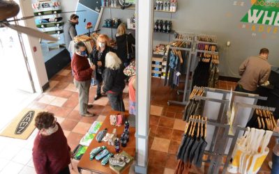 Wheelzup and running on a new business