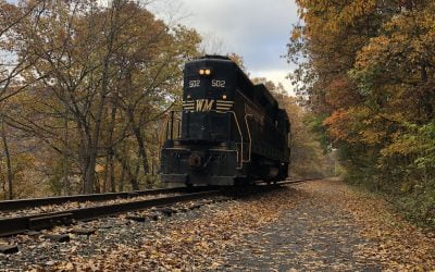 The Autumn Leaf’s Transformative Tale: Change and Balance