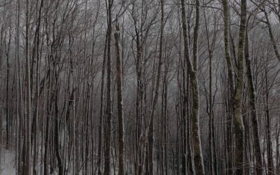 Breaking the Chains: Embracing Freedom and Living Life to the Fullest