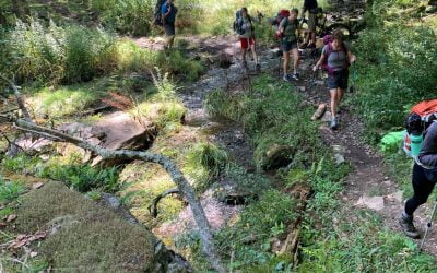 Beginner Backpacking – Seneca Creek trail