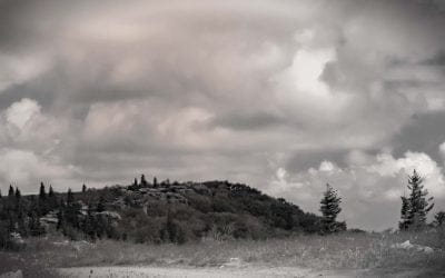 Jul 31 2023: 3 Goals for the Week