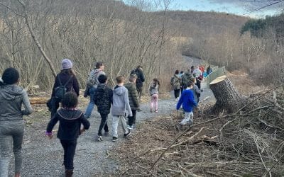 Lessons from Loss, and New Beginnings