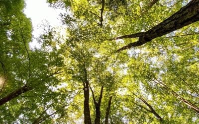 3 Ideas that Changed my Outlook on the Outdoors and Life