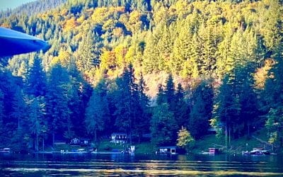 How to Better Enjoy Fall