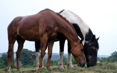 Aug 29 2023: 3 Goals for the Week