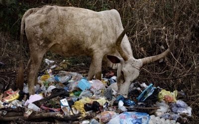 Three Simple Steps to Make a Big Impact in Your Community