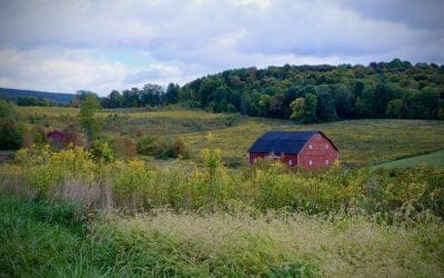The Best Drives to Experience Fall in Western Maryland