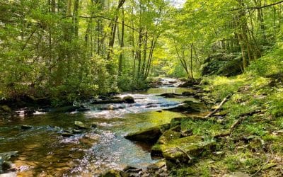 5 Best Swimming Holes Near Cumberland