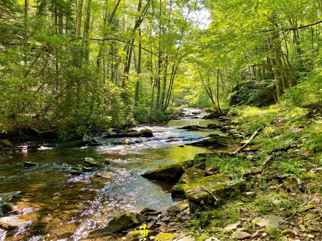 5 Best Swimming Holes Near Cumberland