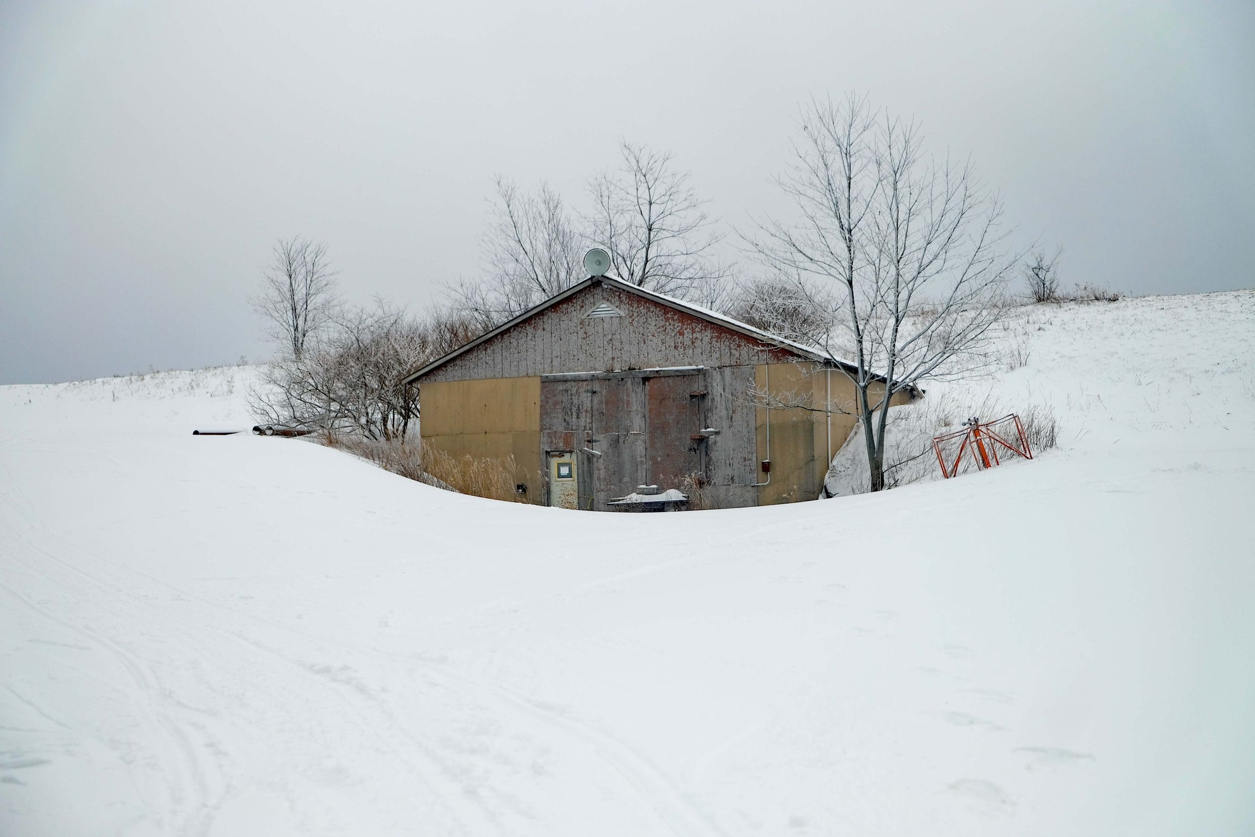 Winter Wildlife Watching Guide